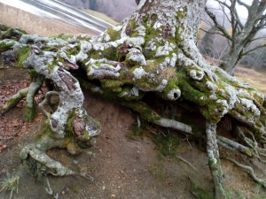 (foto Maryka Polledri)