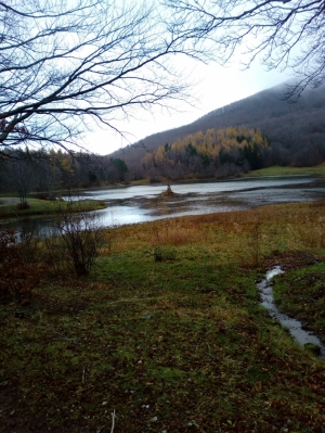 (foto Maryka Polledri)