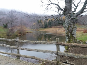 (foto Monia Matarrese)