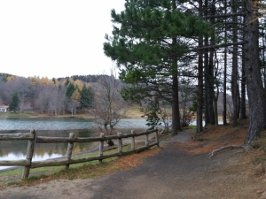 (foto Monia Matarrese)