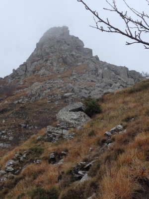 (foto Nina Salamone)