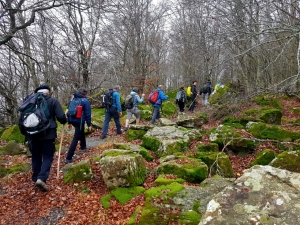Si parte!! (foto Aldo Facchinelli)