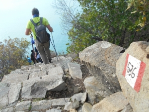 (foto Luca Centi)
