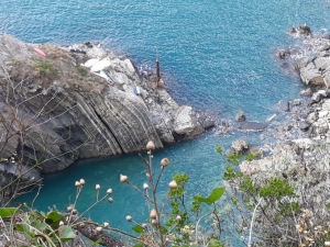 (foto Mirella Botti)