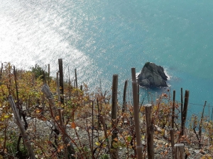 (foto Mirella Botti)