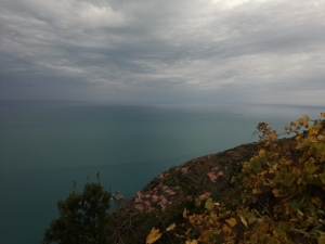 Schiara dall'alto (foto Federica Curà)