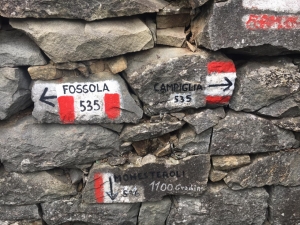 (foto Paola Dall'Asta)