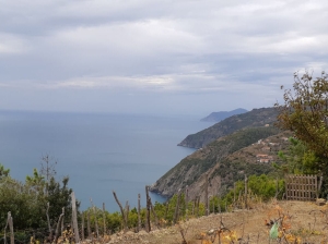 (foto Silvia Loriani)