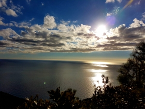 (foto Aldo Facchinelli)