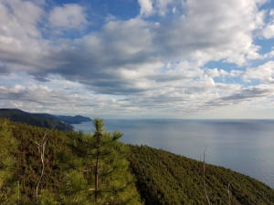 (foto Aldo Facchinelli)