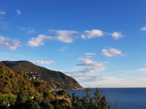 (foto Riccardo Bertolina)