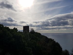 (foto Riccardo Bertolina)