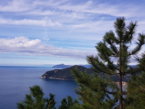(foto Riccardo Bertolina)