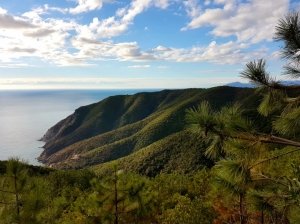 (foto Aldo Facchinelli)