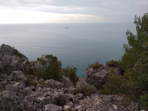 (foto Iolanda Desimone)