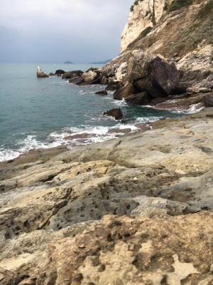 Le rocce calcaree di Punta Bianca (foto Alberto Ronchini)