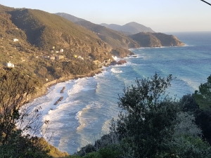 (foto Alberto Biffi)
