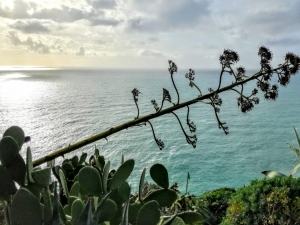 (foto Monica Rabboni)