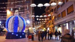 (foto Fabio Cavazzini)