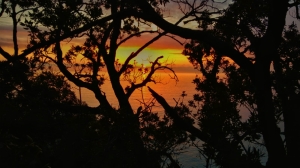 (foto Fabio Cavazzini)