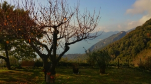 (foto Fabio Cavazzini)