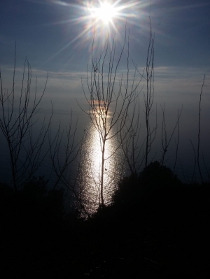 (foto Daniela Balzi)