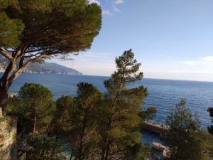 (foto Iolanda Desimone)