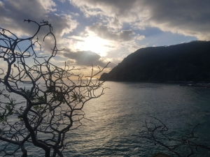 (foto Jessica Ambroggi)