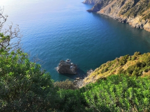 Lo scoglio Montonao (foto Luca Iacopi)