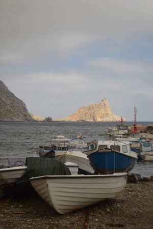 (foto Maria Laura Tambini)