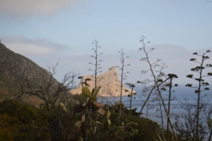 (foto Maria Laura Tambini)