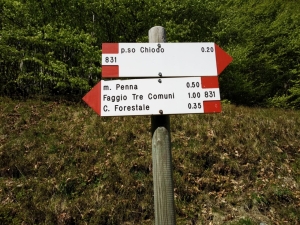 (foto Iolanda Desimone)