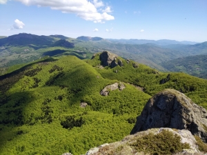 (foto Iolanda Desimone)