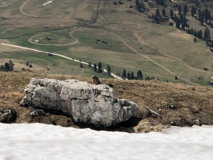 (foto Francesca Conti)