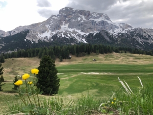 (foto Francesca Conti)