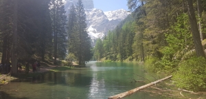 (foto Maria Gaia Soana)