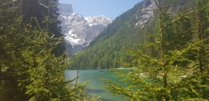 (foto Maria Gaia Soana)