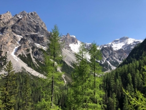 (foto Roberta Dell'Amico)