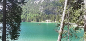 (foto Silvia Loriani)