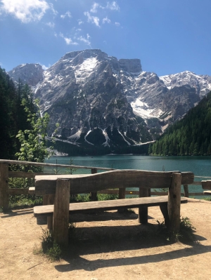 (foto Stefania Zedda)