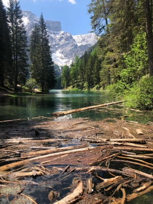 (foto Stefania Zedda)