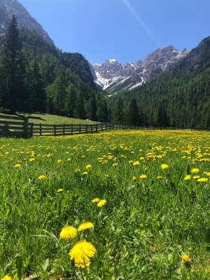 (foto Stefania Zedda)