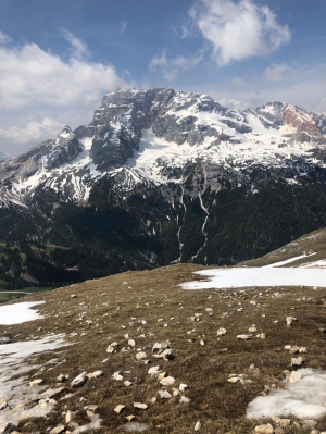 (foto Stefania Zedda)