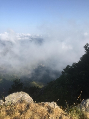 (foto Enrica Pardini)