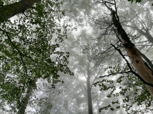 (foto Federica Maccagnini)