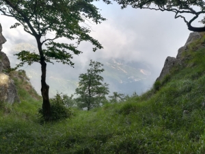 (foto Federica Maccagnini)