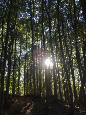 (foto Cecilia Salvarani)