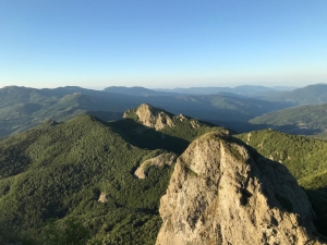 (foto Andrea Dall'Erta)