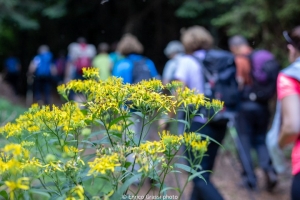 (foto Enrico Grassi)