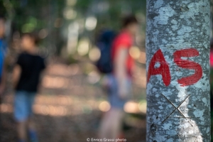 (foto Enrico Grassi)